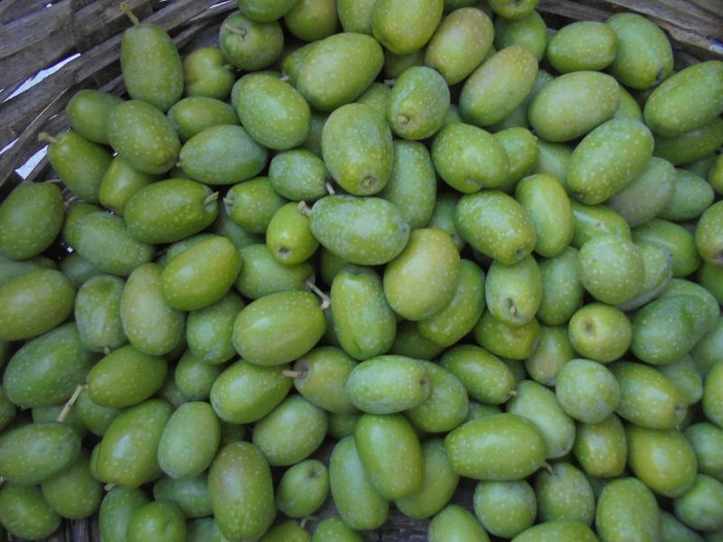'aulive ammaccate' (olive schiacciate)